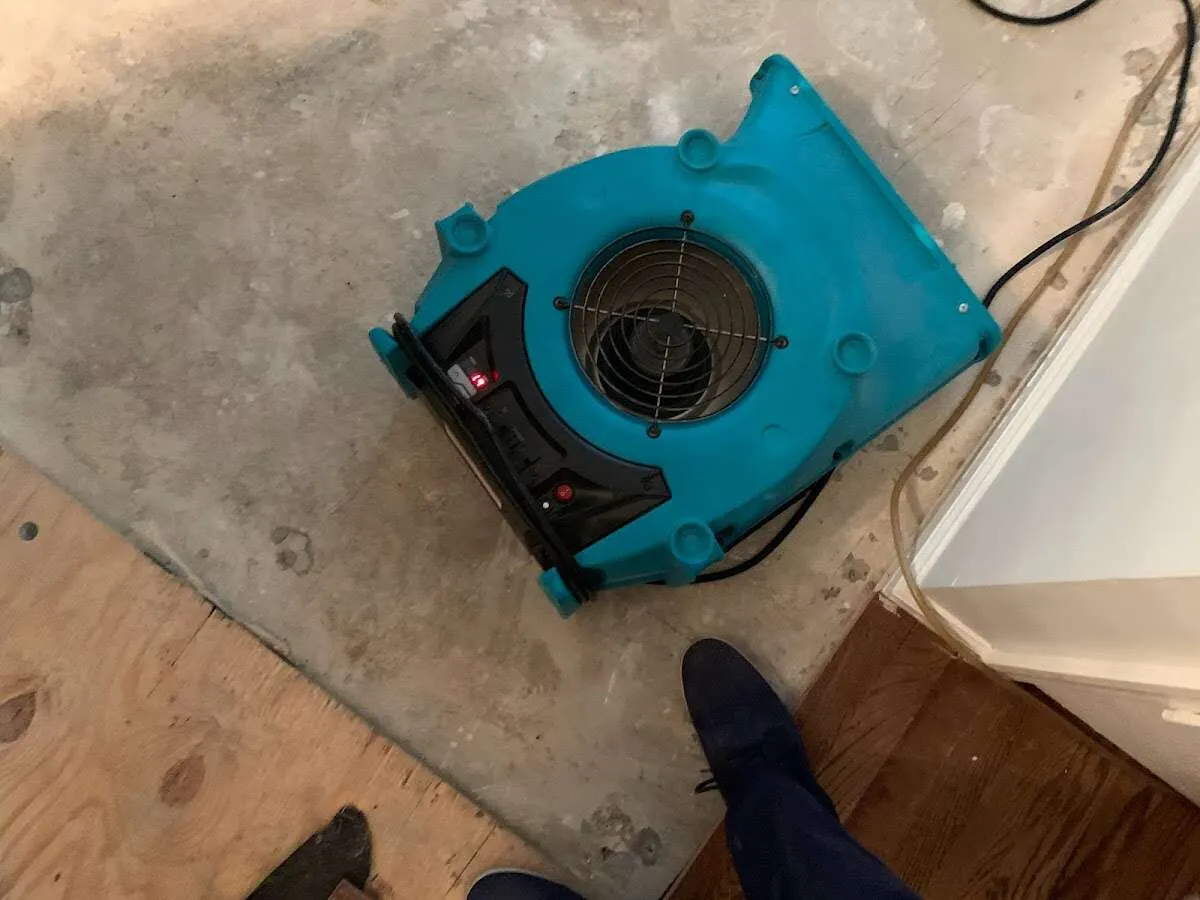Air mover drying subfloor during Leak Detection & Repair in King